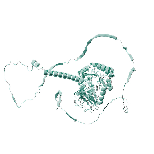 Human CD98 (N-6His, HEK293)